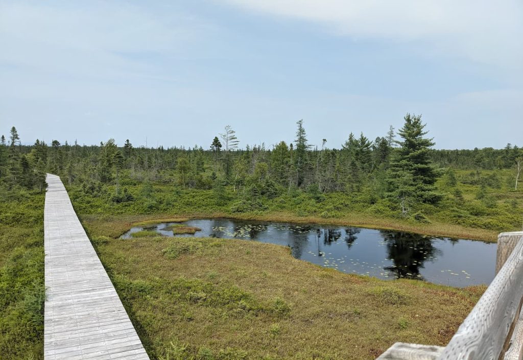 Thumbnail-For-Boardwalk Pass-Grande Plée Bleue-Lake-By-Money911