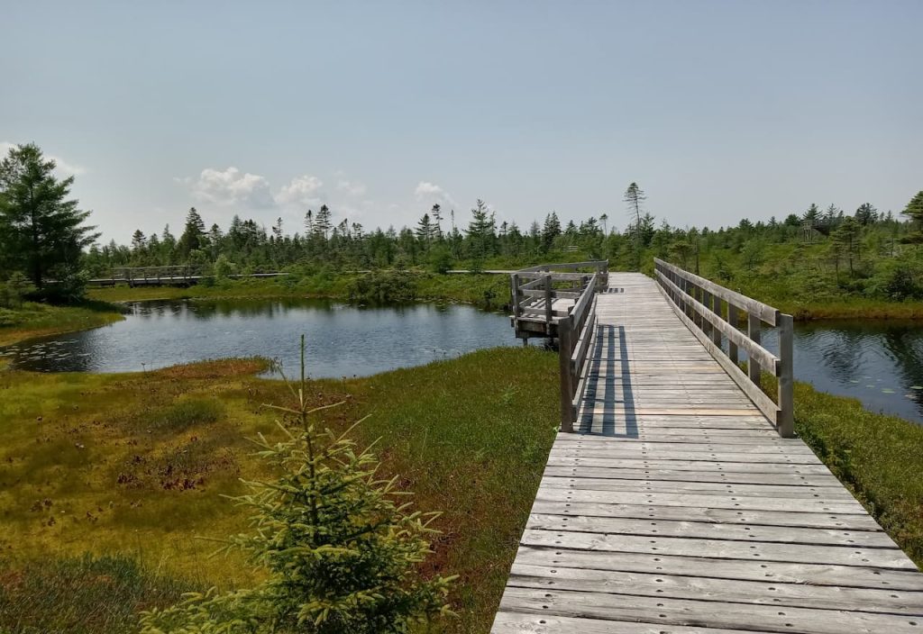Thumbnail-For-Grande Plée Bleue-Lake-Boardwalk Bridge-By-Money911