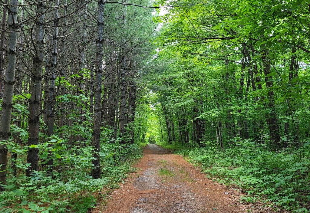 Thumbnail-For-Grande Plée Bleue-Trail-Money911