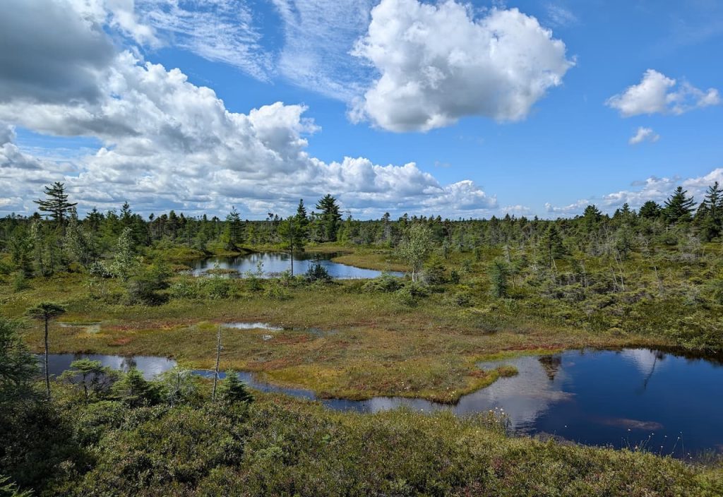 Thumbnail-For-Tourbiere-De-La-Grande Plée Bleue-By-Money911