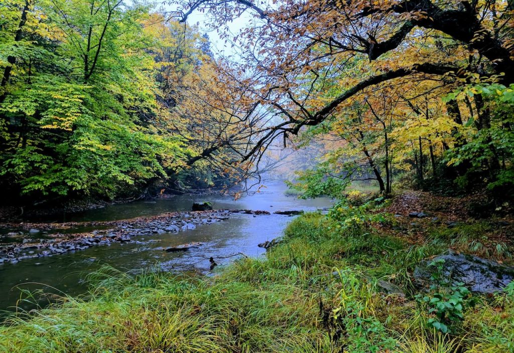 Thumbnail-For-Rivière Aulneuse-Quarteir-Saint-Nicolas-For-Money 911