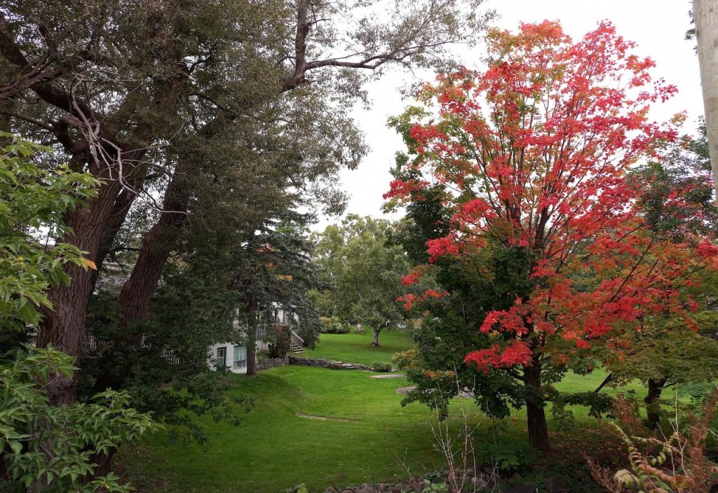 Thumbnail-For-Rivière-du-Berger Natural Park-Beautiful Landscape-By-Money 911