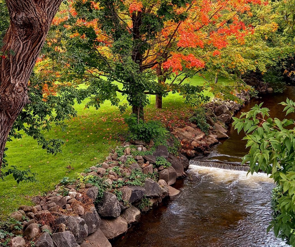 Thumbnail-For-Rivière-du-Berger Natural Park-By-Money 911