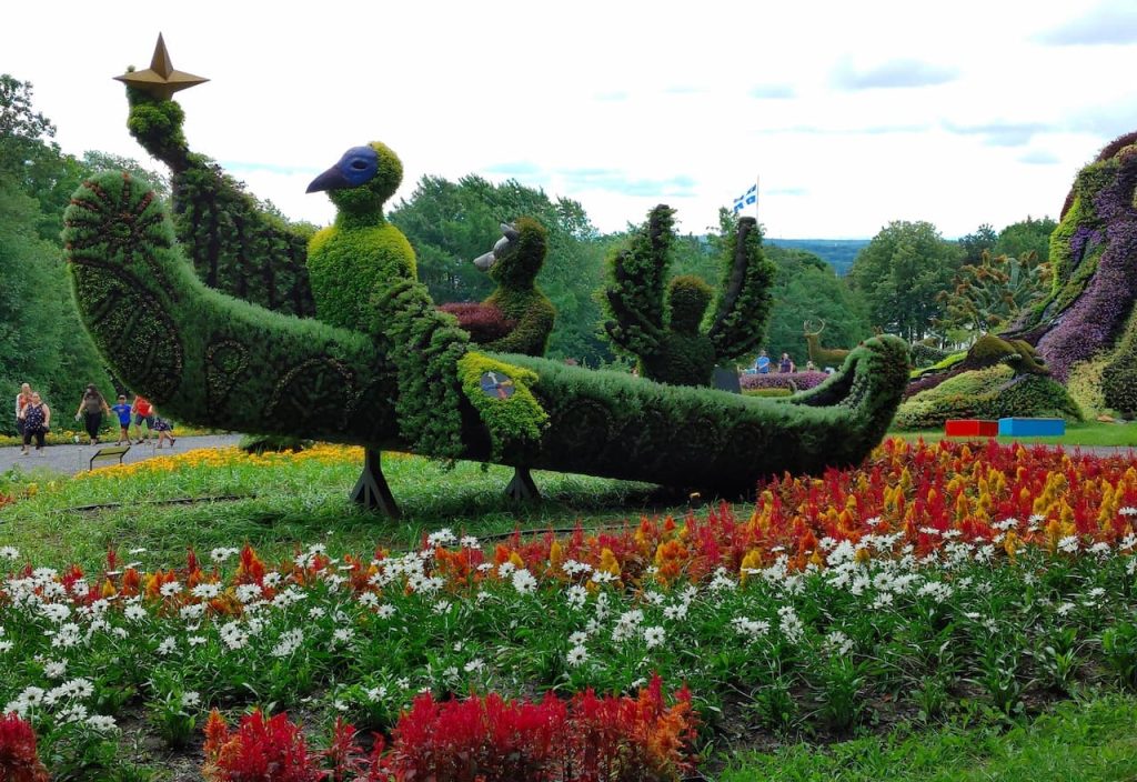 Thumbnail-For-Beautiful Living Sculpture-At-Bois-de-Coulonge Park-For-Money 911